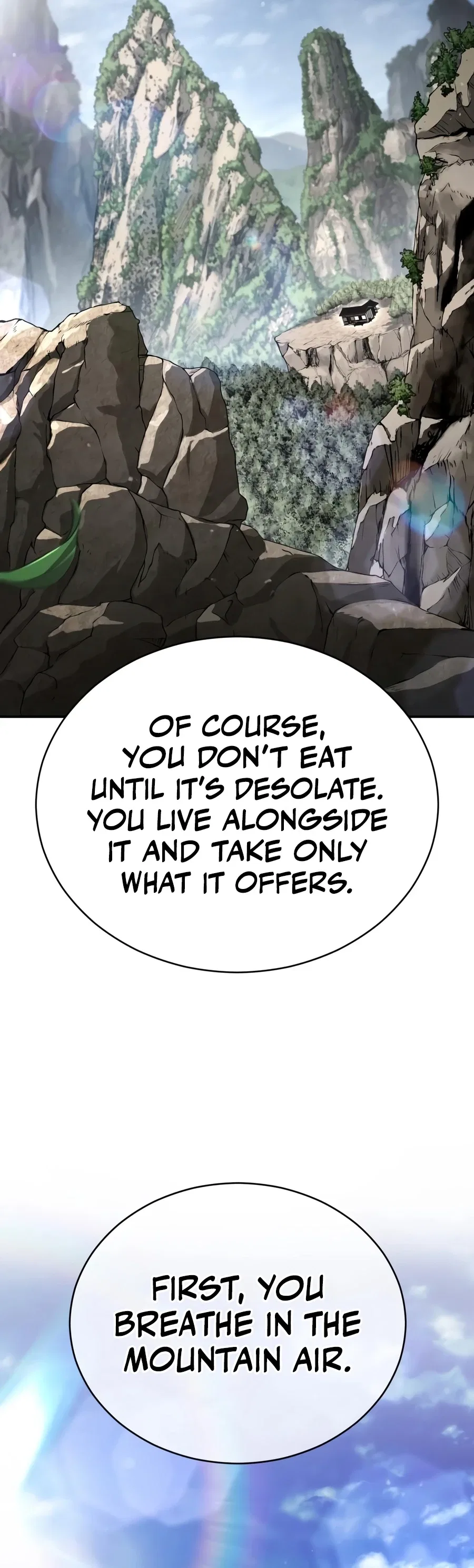 Reincarnation of the Fist King Chapter 63 – Page 15