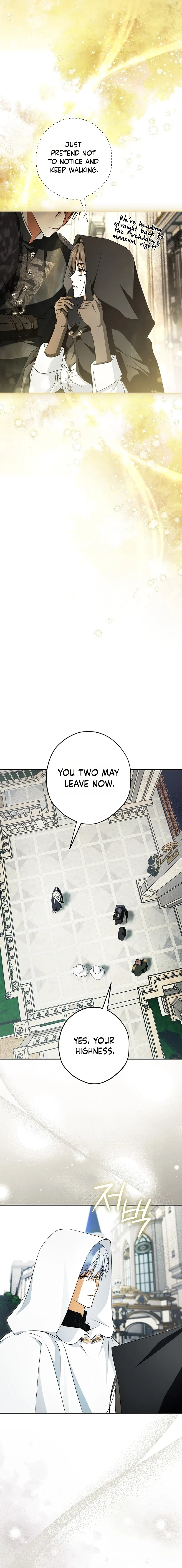 The Male Leads Were Stolen by an Extra Chapter 97 – Page 9