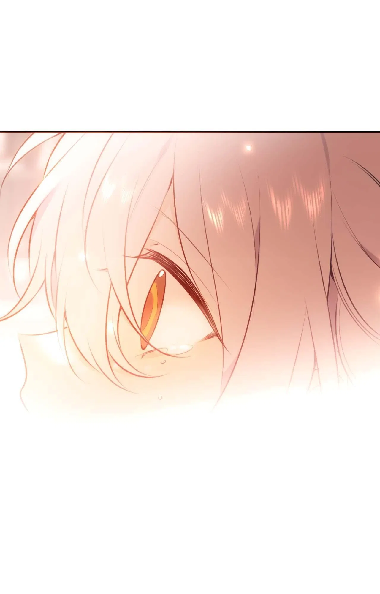 The Script Shop of Dream Chapter 95 – Page 54
