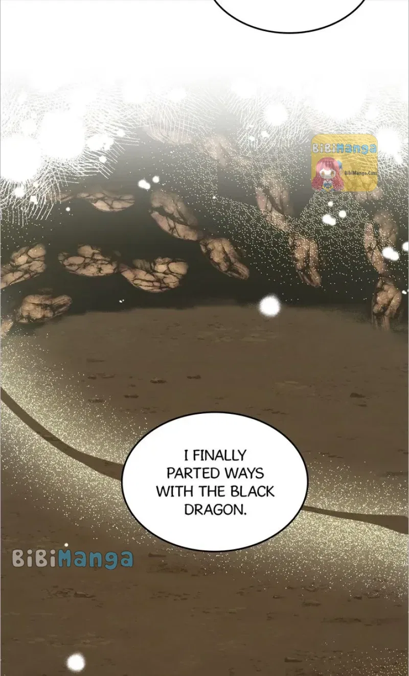 How to Get Rid of My Dark Past? Chapter 81 – Page 78
