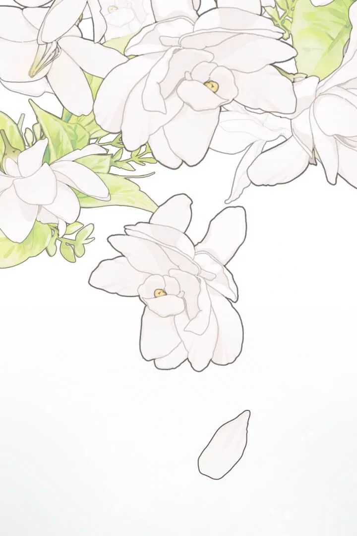 From Misery to Majesty Chapter 57 – Page 56