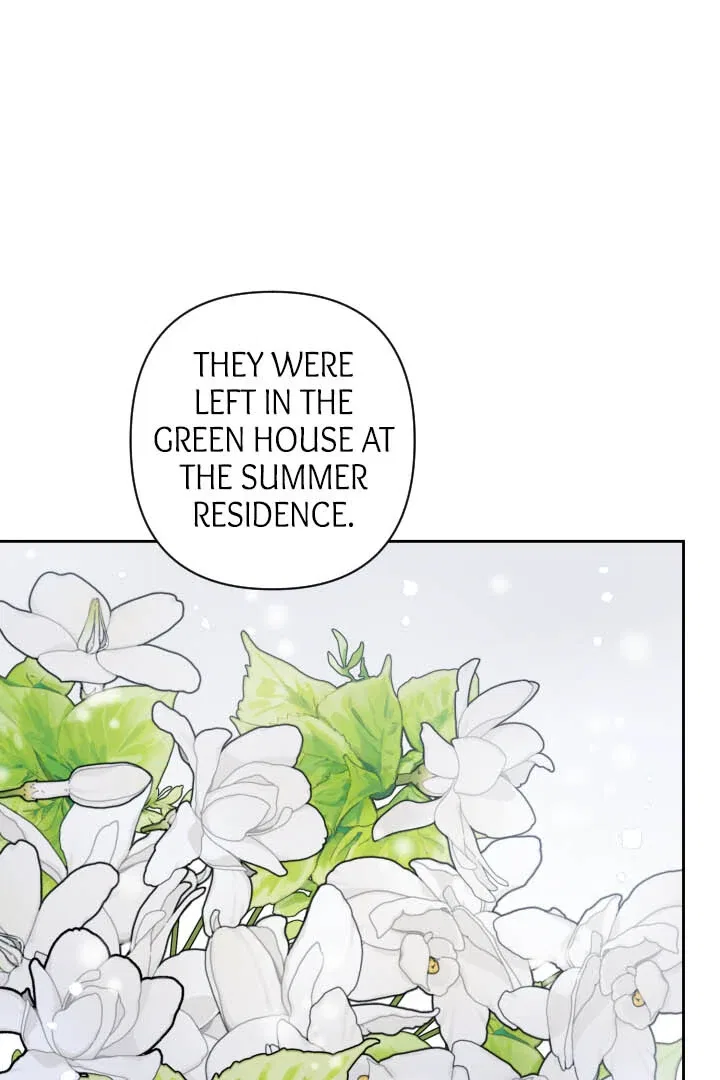 From Misery to Majesty Chapter 57 – Page 63