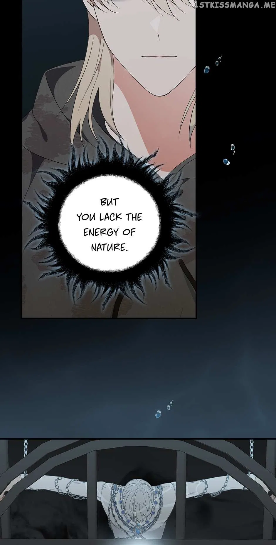 The Duchess of the Glass Greenhouse Chapter 99 – Page 18