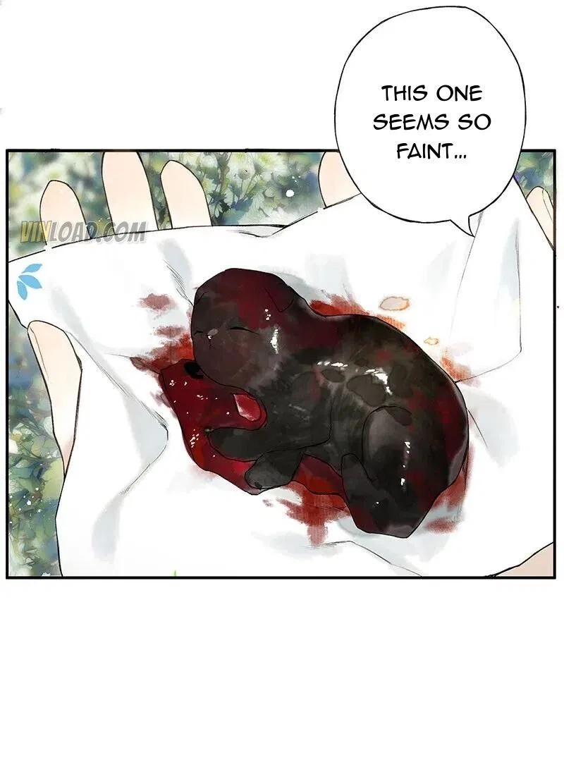 Pomegranate Blooms in Spring Chapter 28 – Page 12
