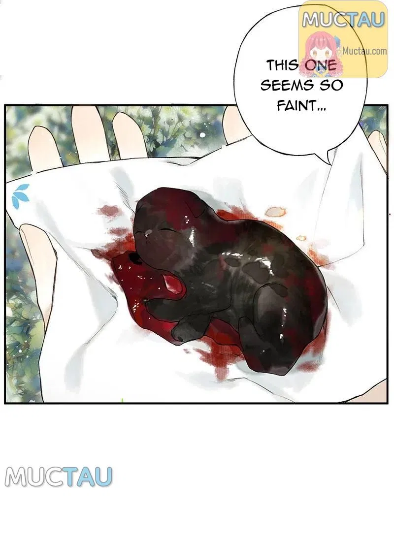 Pomegranate Blooms in Spring Chapter 27 – Page 12