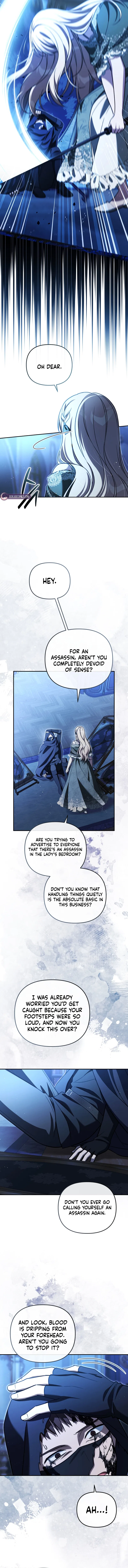 Even if I Hide My Power, the Noble Lady Is the Strongest Chapter 44 – Page 10