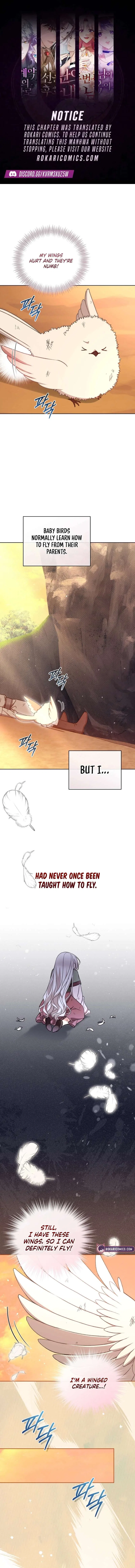 The White Tiger Clan’s Baby Cotton Ball Chapter 31 – Page 1