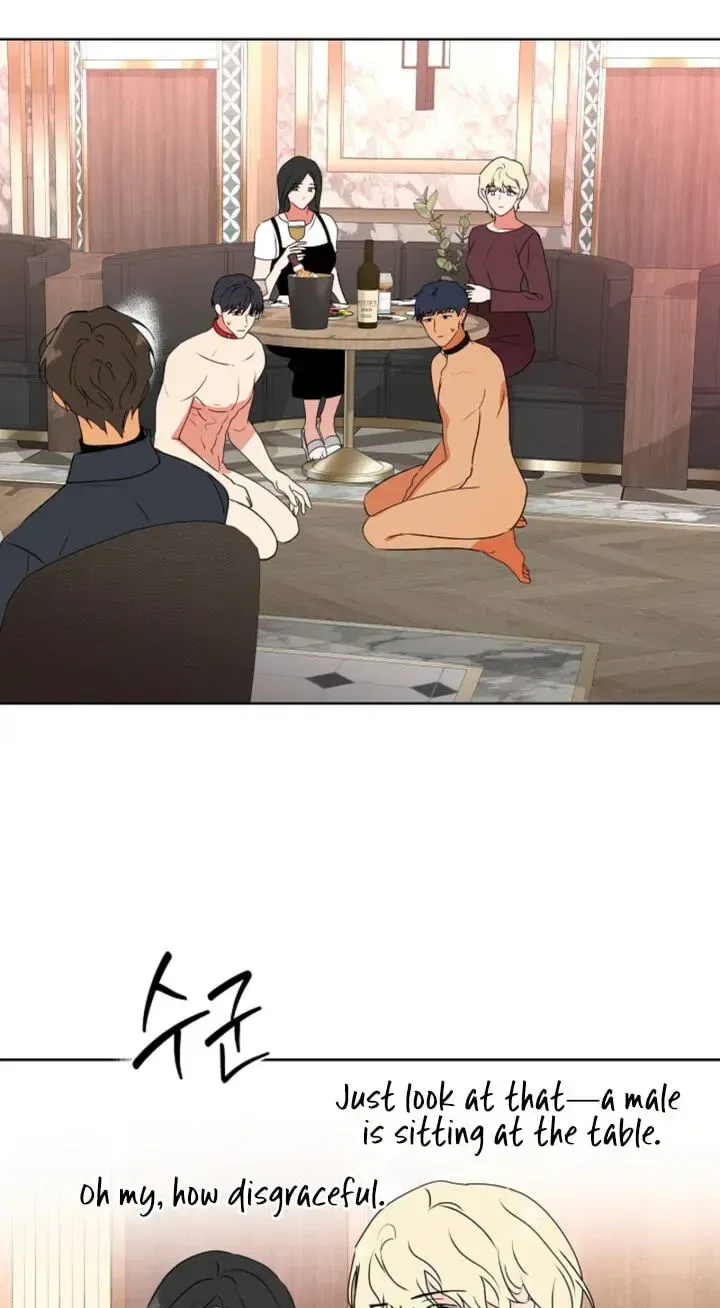 Males In The Breeding Room Chapter 37 – Page 45