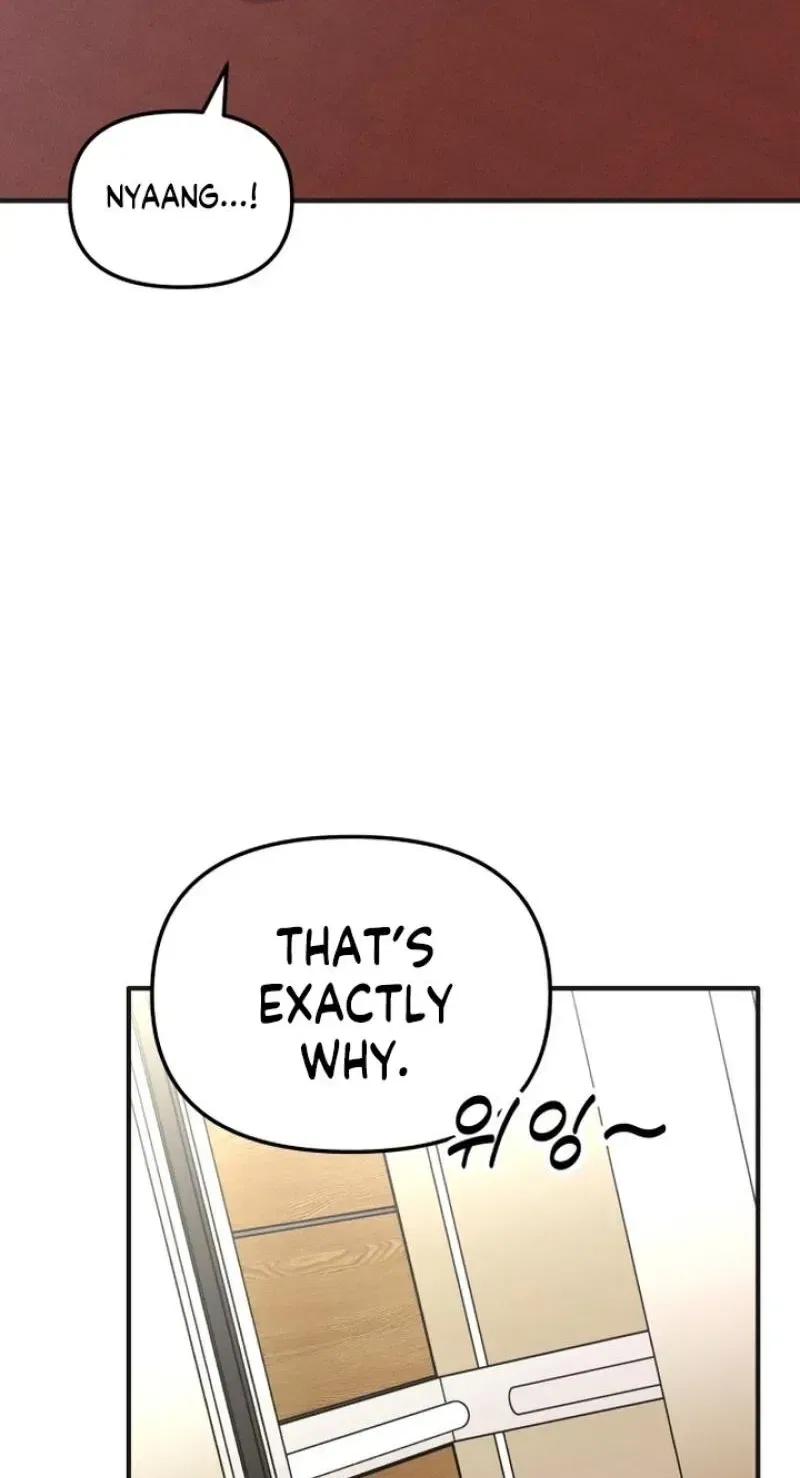 My Boyfriend Is a Cat Chapter 26 – Page 45