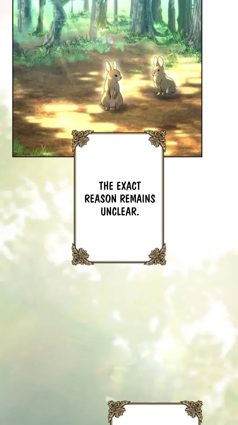 I Was Reincarnated as the Villainess’s Sister Chapter 28 – Page 22