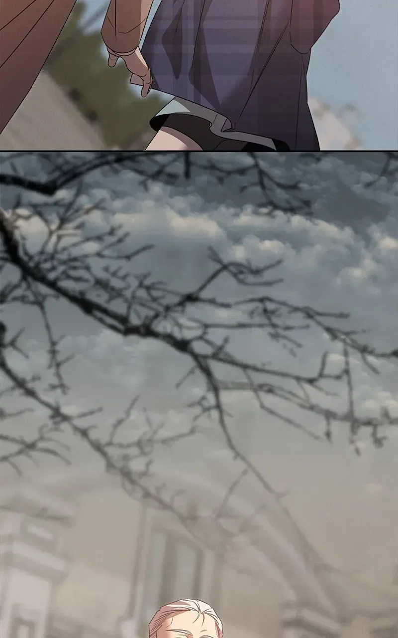 Where the Golden Rose Was Plucked Chapter 43 – Page 42