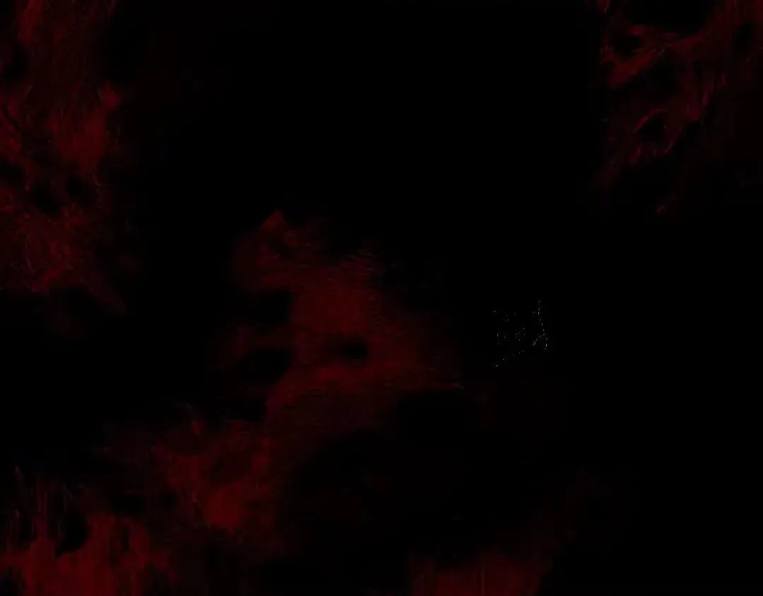Master: This rebellious disciple is definitely not the Holy Son Chapter 197 – Page 12
