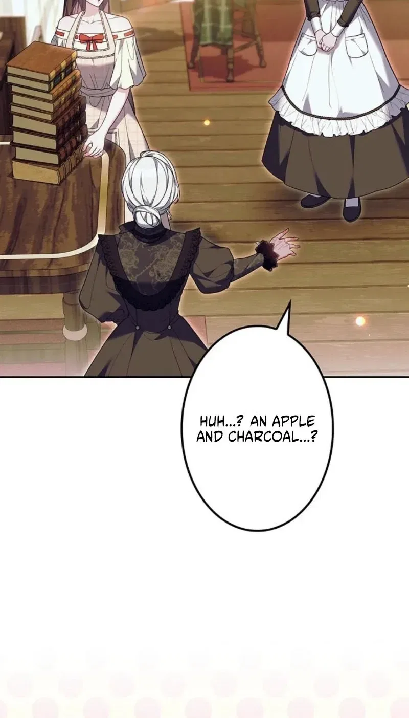 The Hated Stepmother Begins Her Second Life Chapter 27 – Page 67