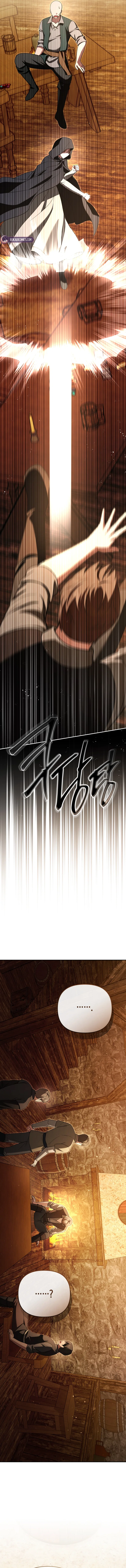 Even if I Hide My Power, the Noble Lady Is the Strongest Chapter 45 – Page 17