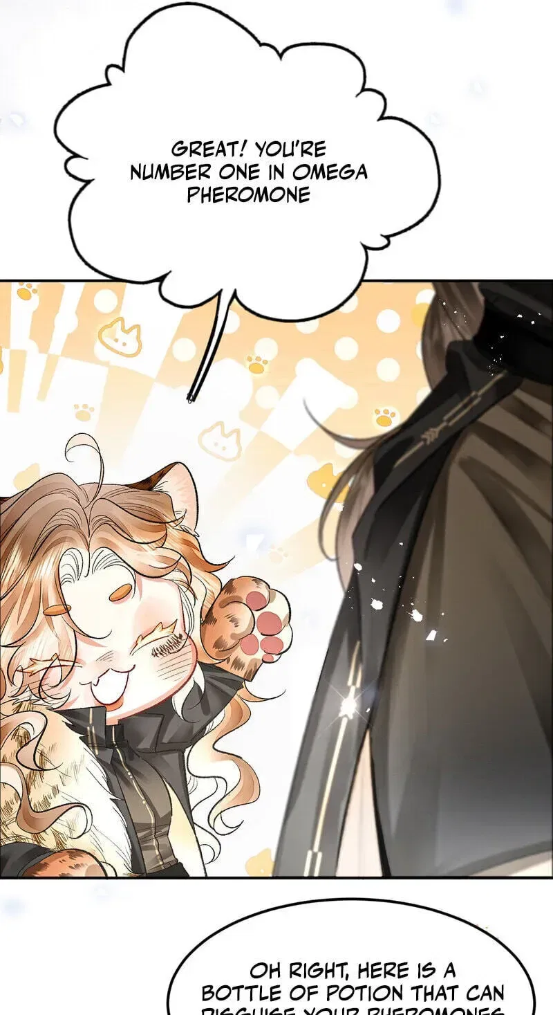 Alpha Mommy, I Really Want to Mark You Chapter 10 – Page 19