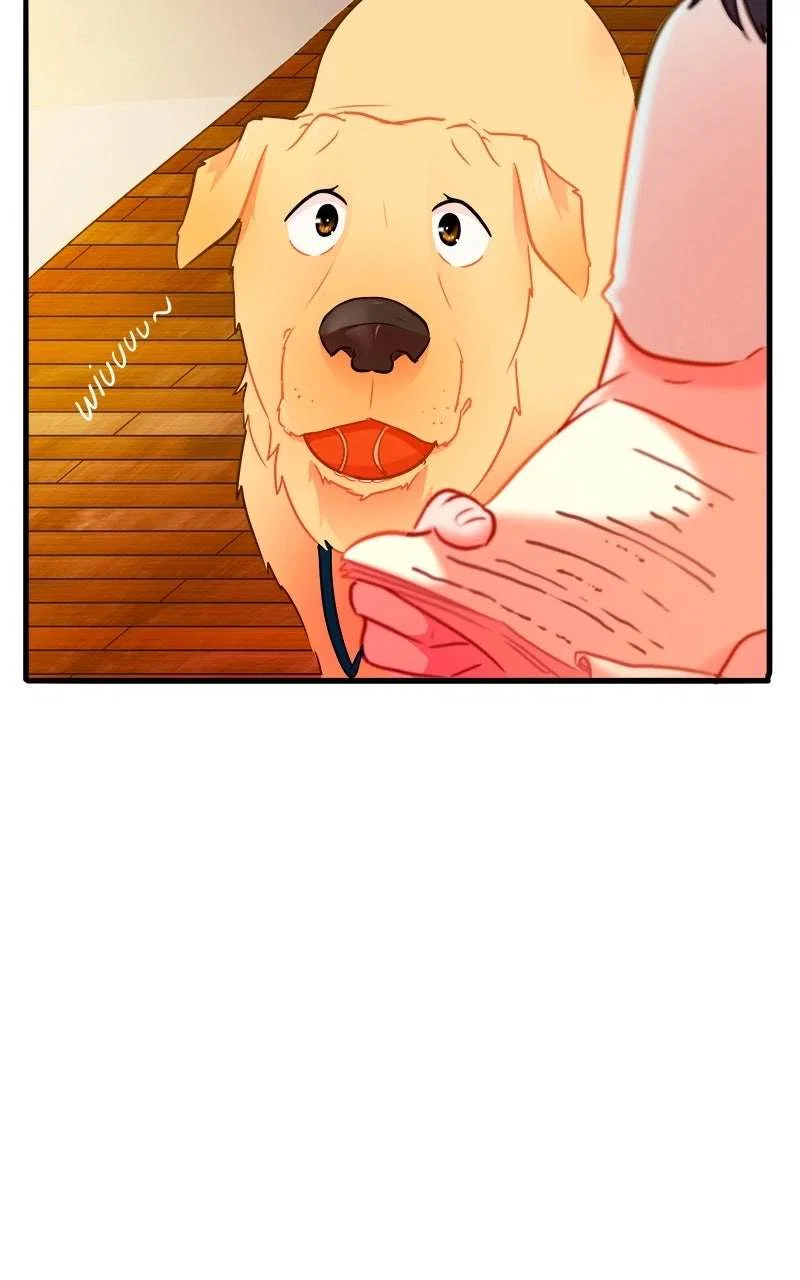 Love 4 a Walk Chapter 105 – Page 52