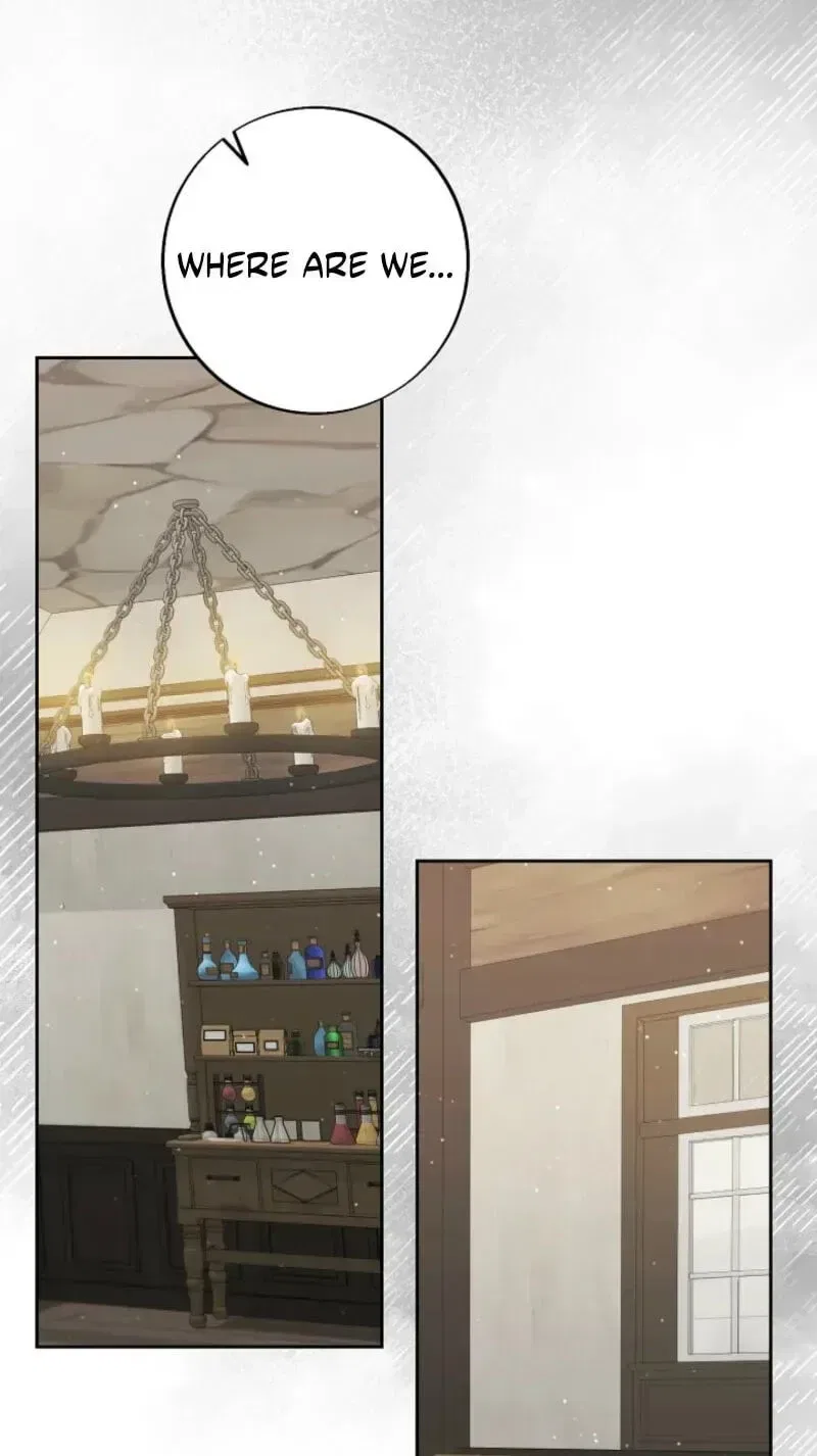 I Opened an Illegal Veterinary Clinic in Another World Chapter 45 – Page 93