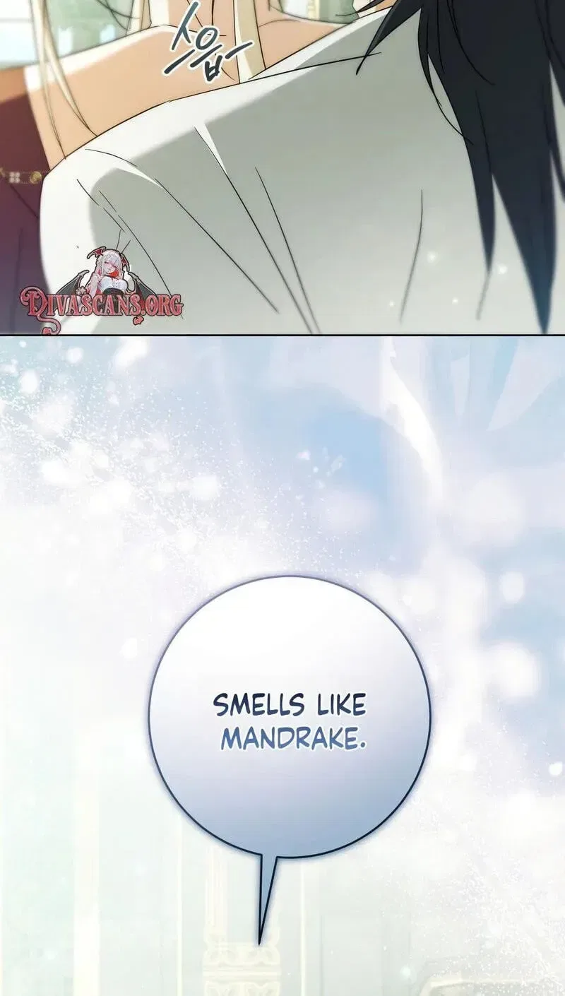 Paradisus Valentinae Chapter 47 – Page 45