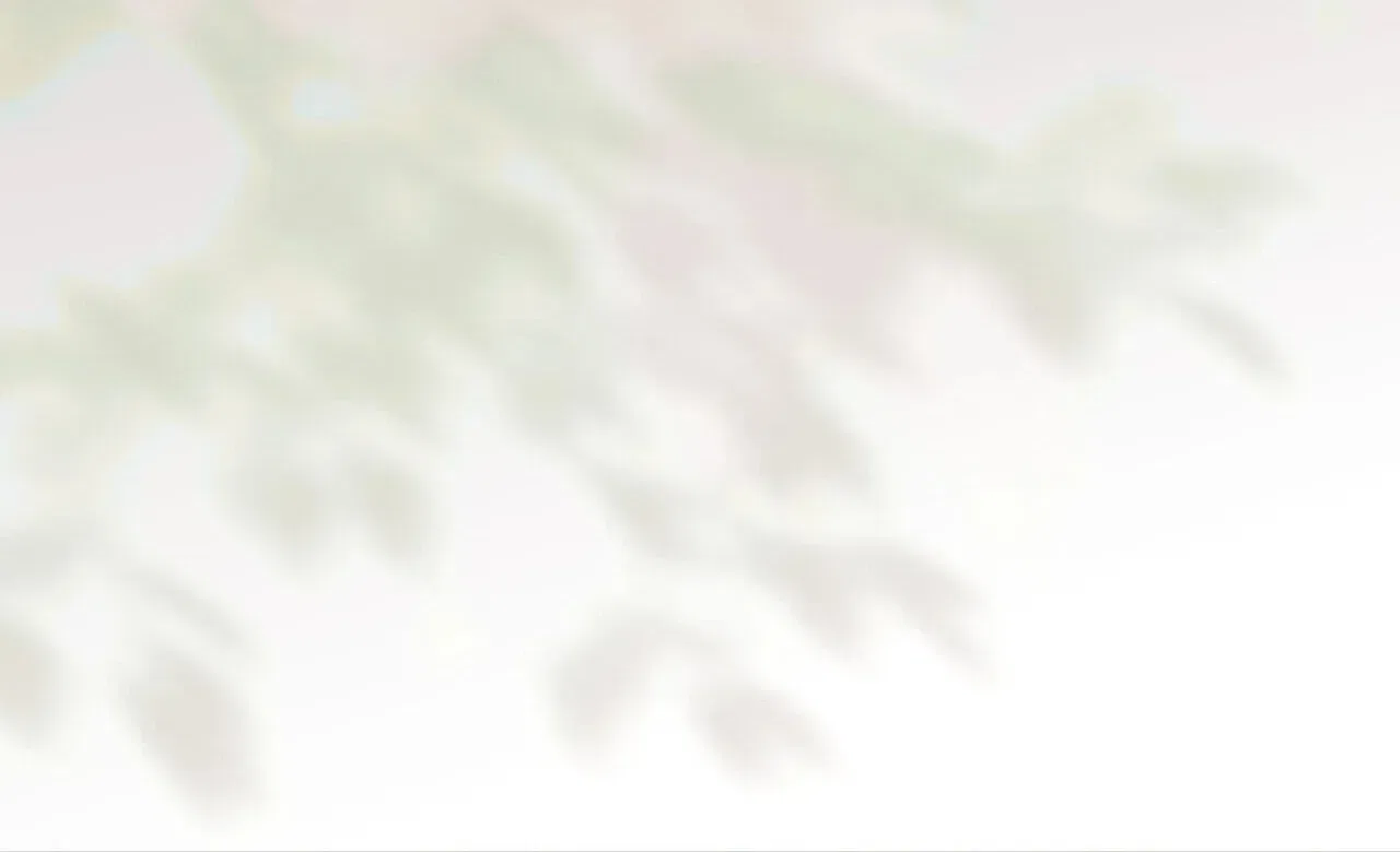 Paradisus Valentinae Chapter 44 – Page 216