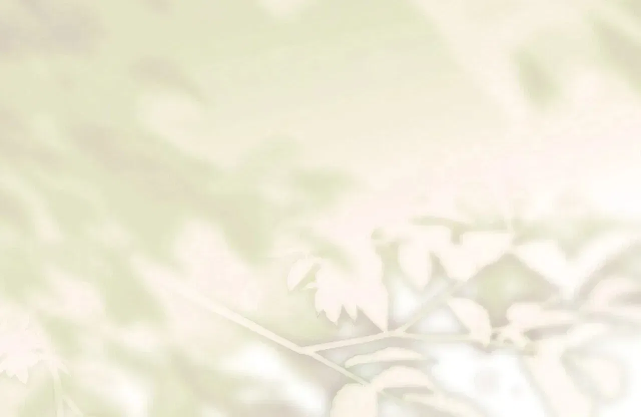 Paradisus Valentinae Chapter 44 – Page 218