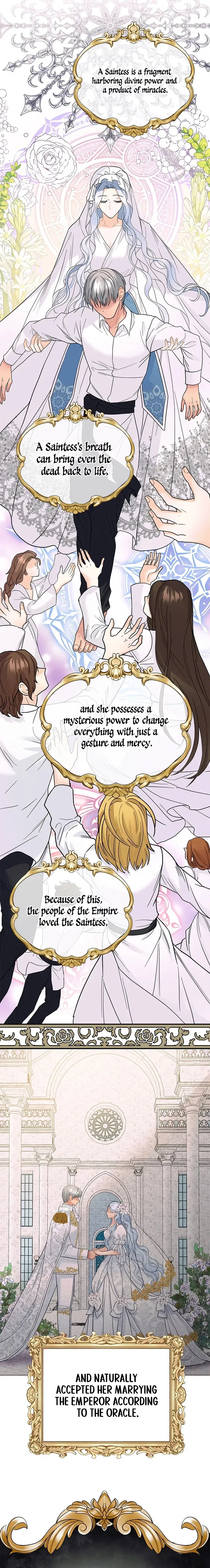 Secret Love Affair Between a Former Saint and a Dark Hero Chapter 30 – Page 2