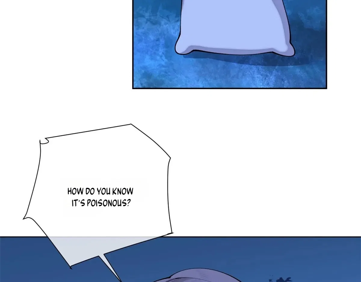 Her Marriage Was Called Off at Daytime, the Cutely Fierce Commander Asked Her For a Hug at Night Chapter 203 – Page 61