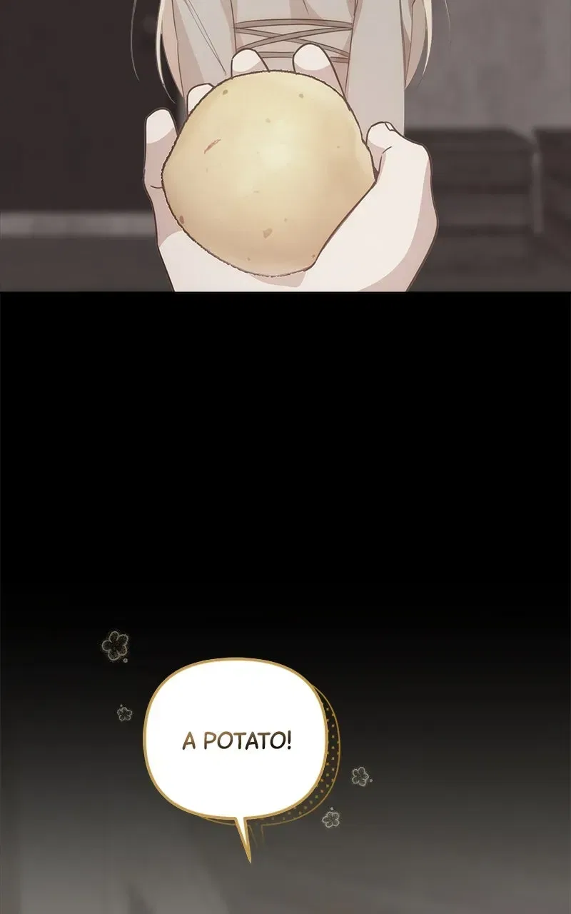 Where the Golden Rose Was Plucked Chapter 44 – Page 3