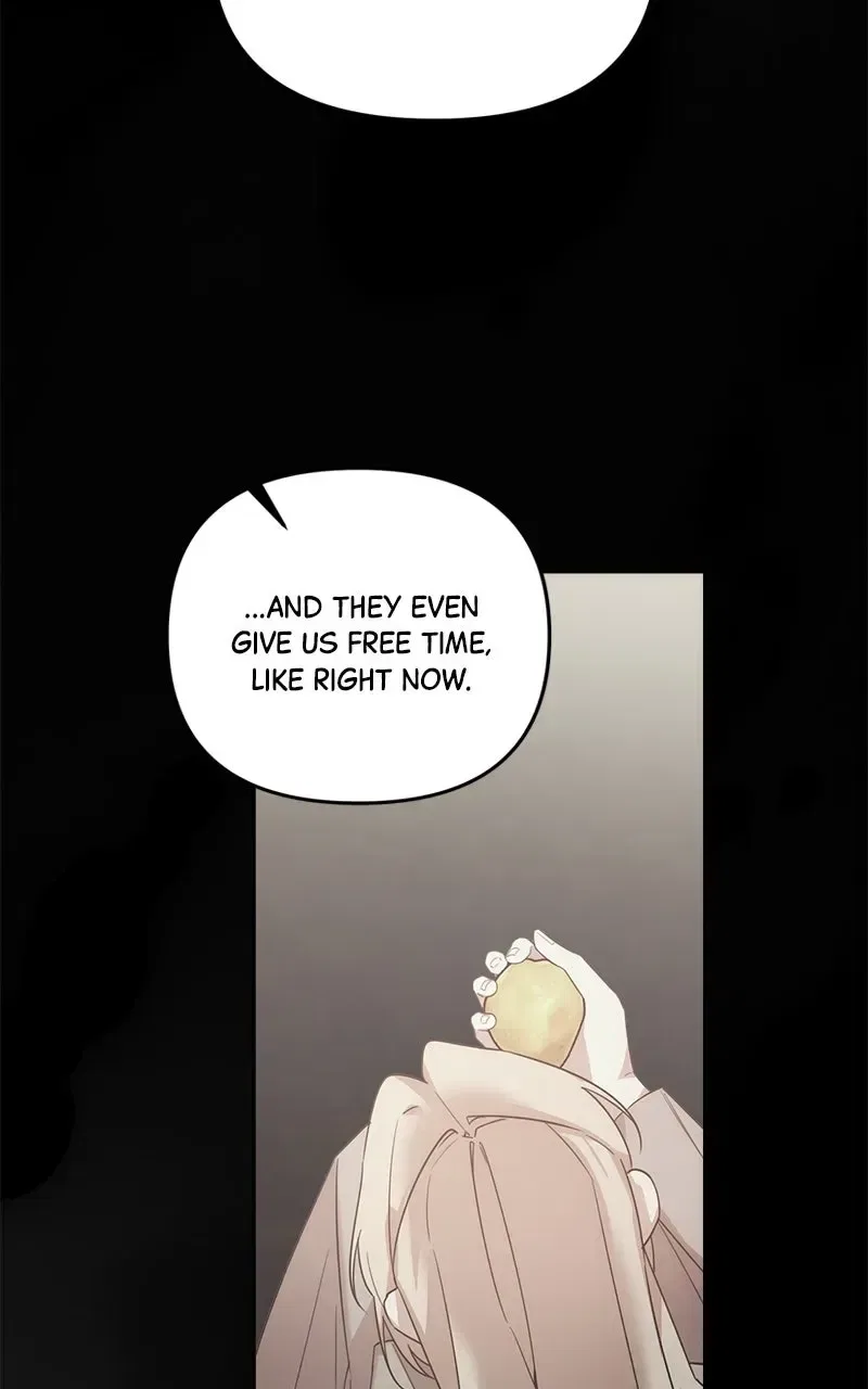 Where the Golden Rose Was Plucked Chapter 44 – Page 20