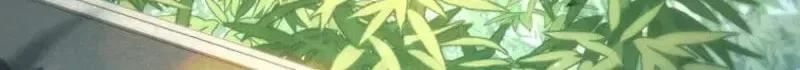Third-rate Martial Family Becomes the Best Under Heaven Chapter 21 – Page 56