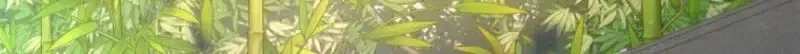 Third-rate Martial Family Becomes the Best Under Heaven Chapter 21 – Page 120