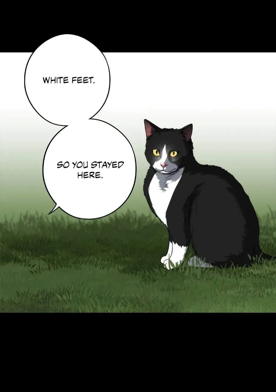 Blinded by the Setting Sun Chapter 230 – Page 42