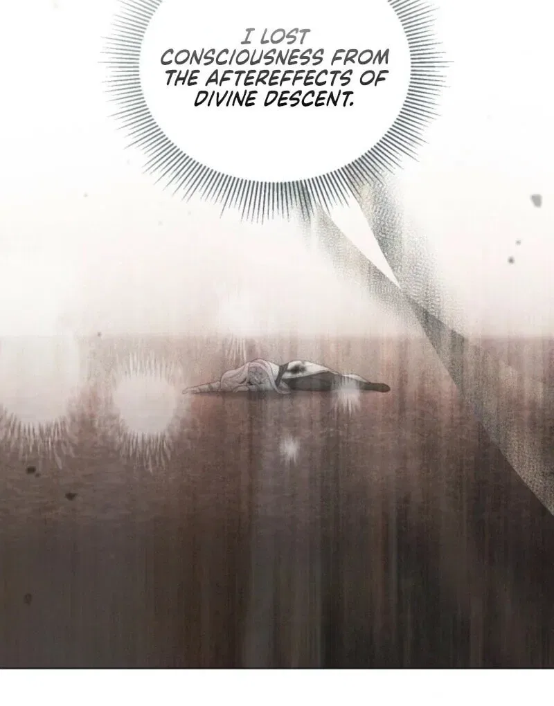 A Transmigrator’s Privilege Chapter 106 – Page 13