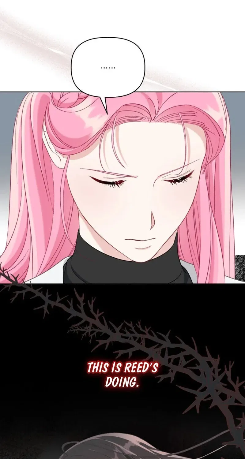 A Transmigrator’s Privilege Chapter 100 – Page 81