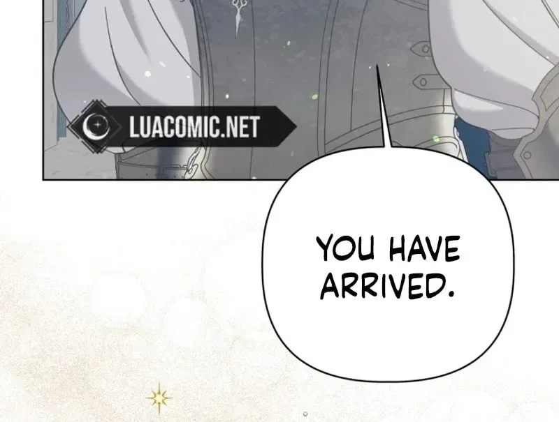 A Transmigrator’s Privilege Chapter 96 – Page 5