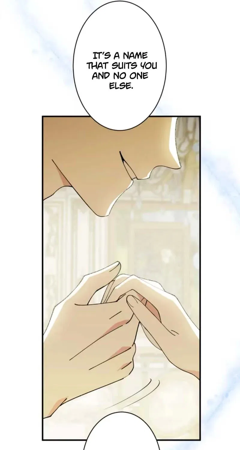 Don’t Obsess Over the Fake Princess! Chapter 1 – Page 11