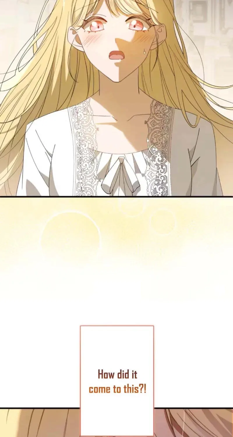 Don’t Obsess Over the Fake Princess! Chapter 1 – Page 17