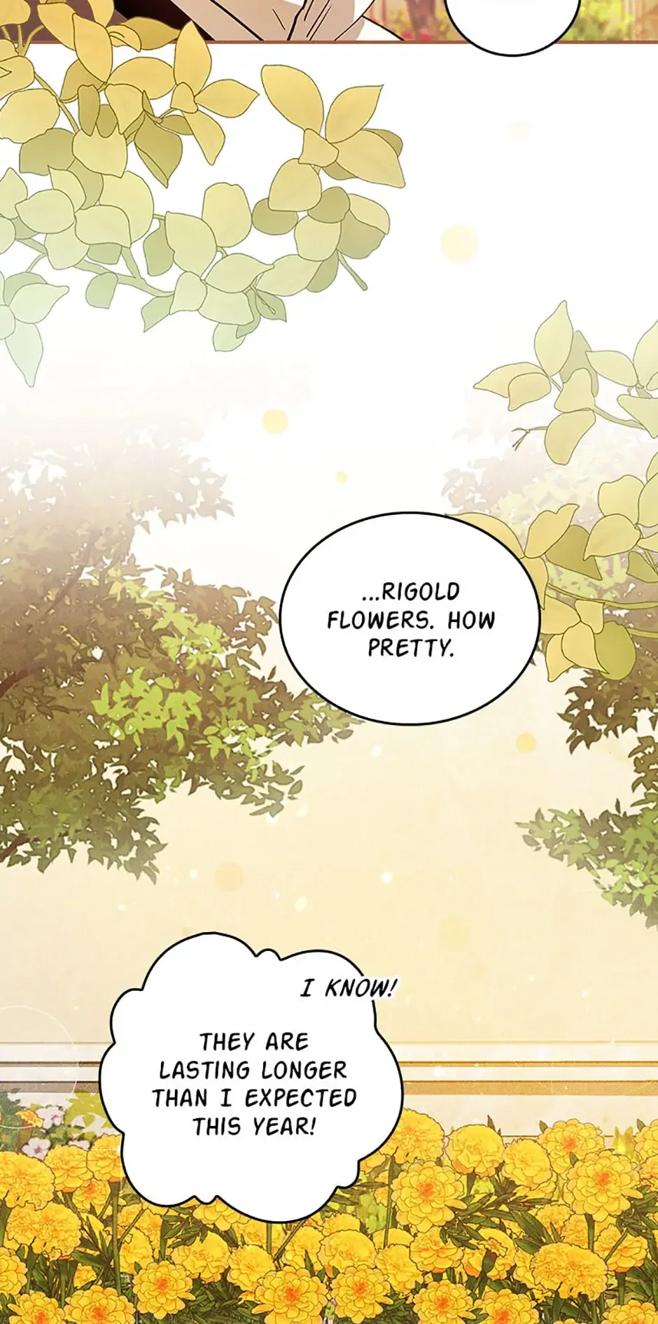 Run Maelle Chapter 17 – Page 66