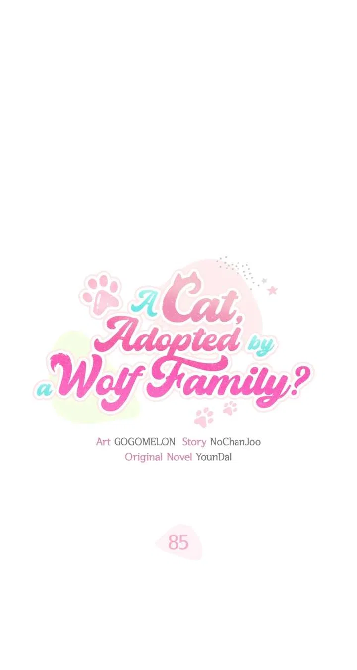 You’re a Cat, But You’ve Been Adopted by a Wolf Family? Chapter 85 – Page 50