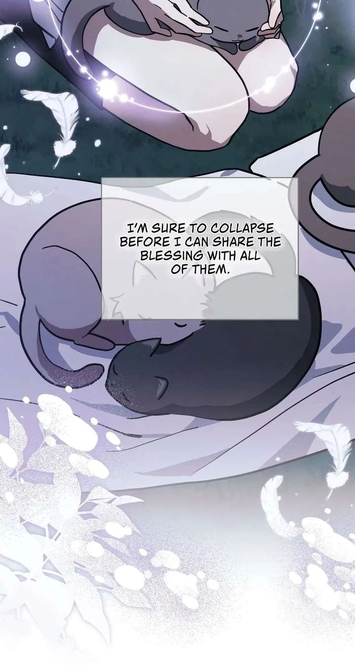 You’re a Cat, But You’ve Been Adopted by a Wolf Family? Chapter 79 – Page 85