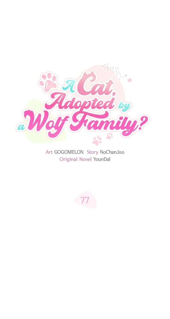 You’re a Cat, But You’ve Been Adopted by a Wolf Family? Chapter 77 – Page 17