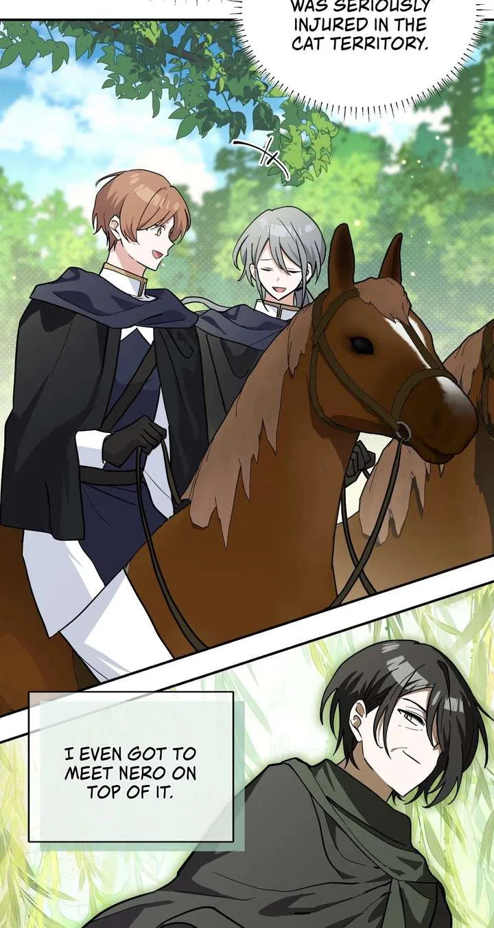 You’re a Cat, But You’ve Been Adopted by a Wolf Family? Chapter 77 – Page 38