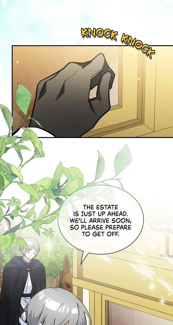 You’re a Cat, But You’ve Been Adopted by a Wolf Family? Chapter 77 – Page 40