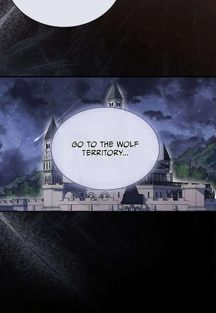 You’re a Cat, But You’ve Been Adopted by a Wolf Family? Chapter 76 – Page 26