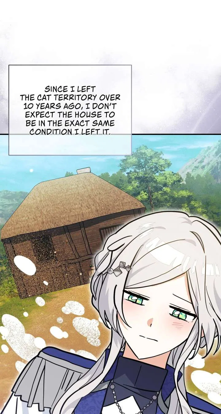 You’re a Cat, But You’ve Been Adopted by a Wolf Family? Chapter 75 – Page 50