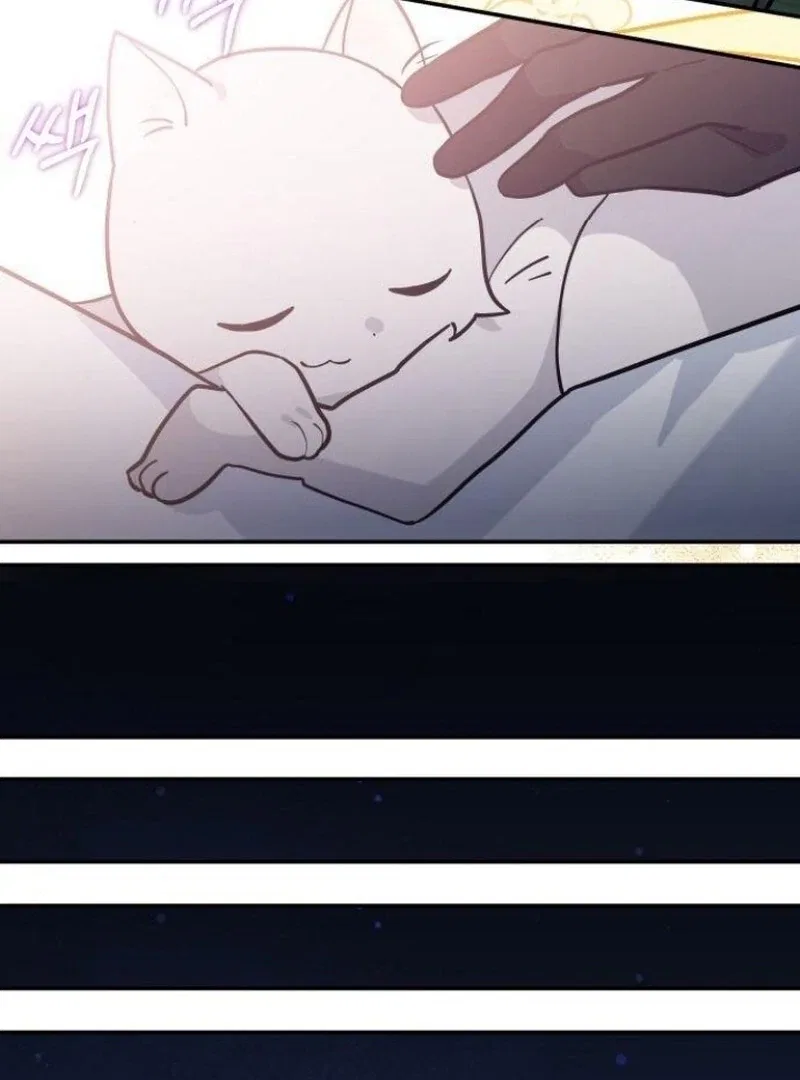 You’re a Cat, But You’ve Been Adopted by a Wolf Family? Chapter 73 – Page 71