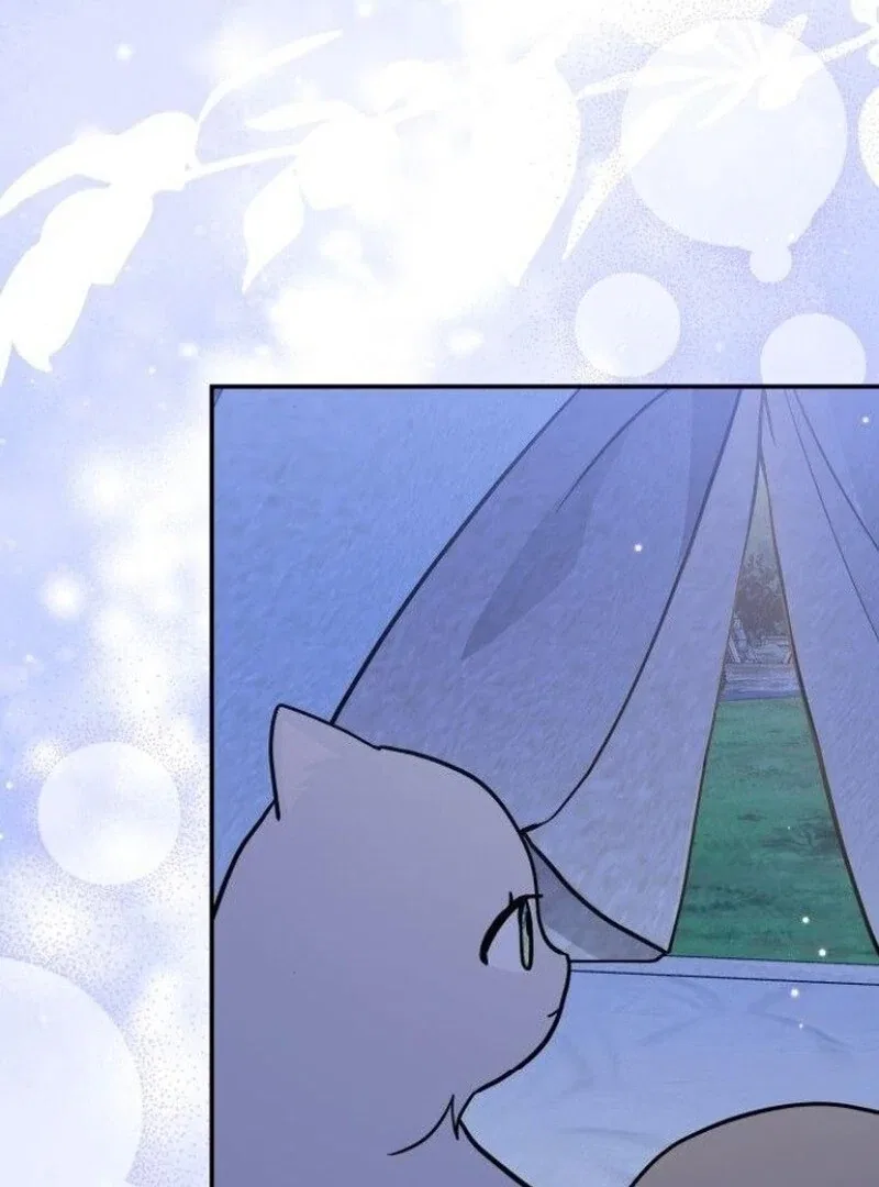 You’re a Cat, But You’ve Been Adopted by a Wolf Family? Chapter 73 – Page 81