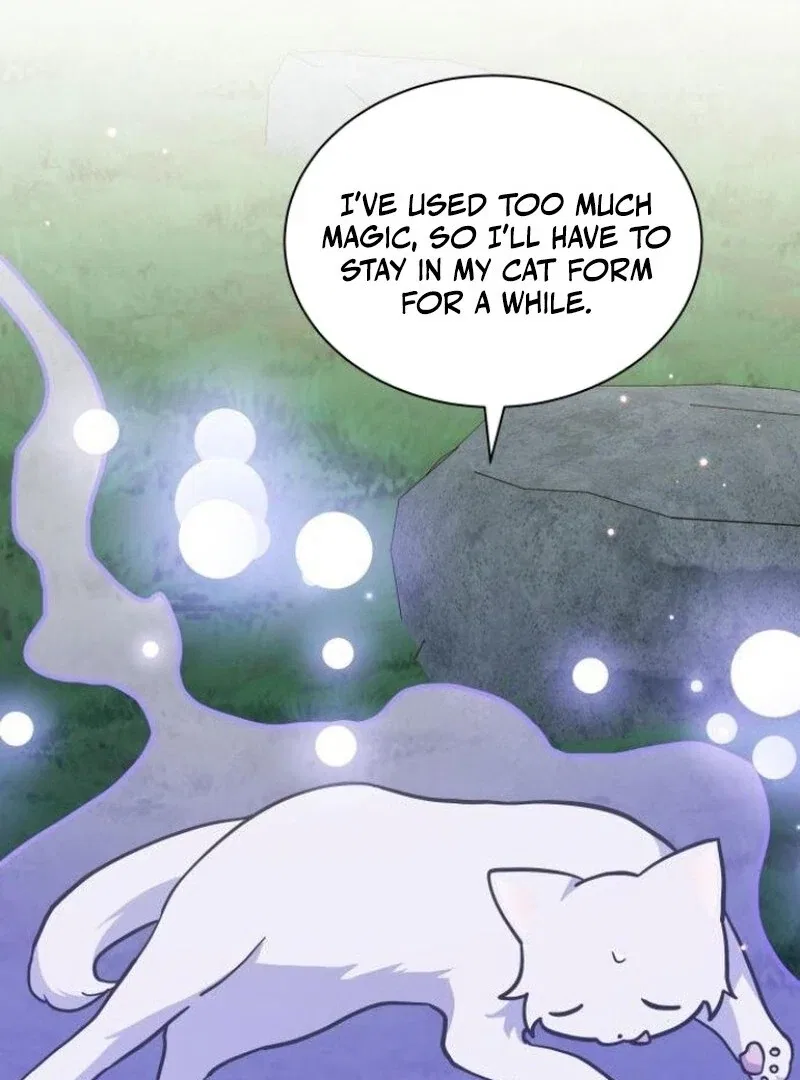You’re a Cat, But You’ve Been Adopted by a Wolf Family? Chapter 72 – Page 31