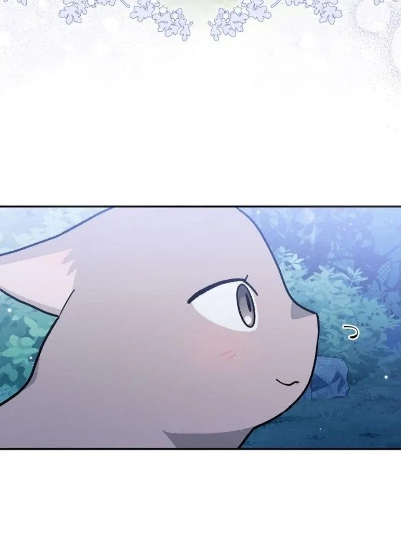 You’re a Cat, But You’ve Been Adopted by a Wolf Family? Chapter 72 – Page 49