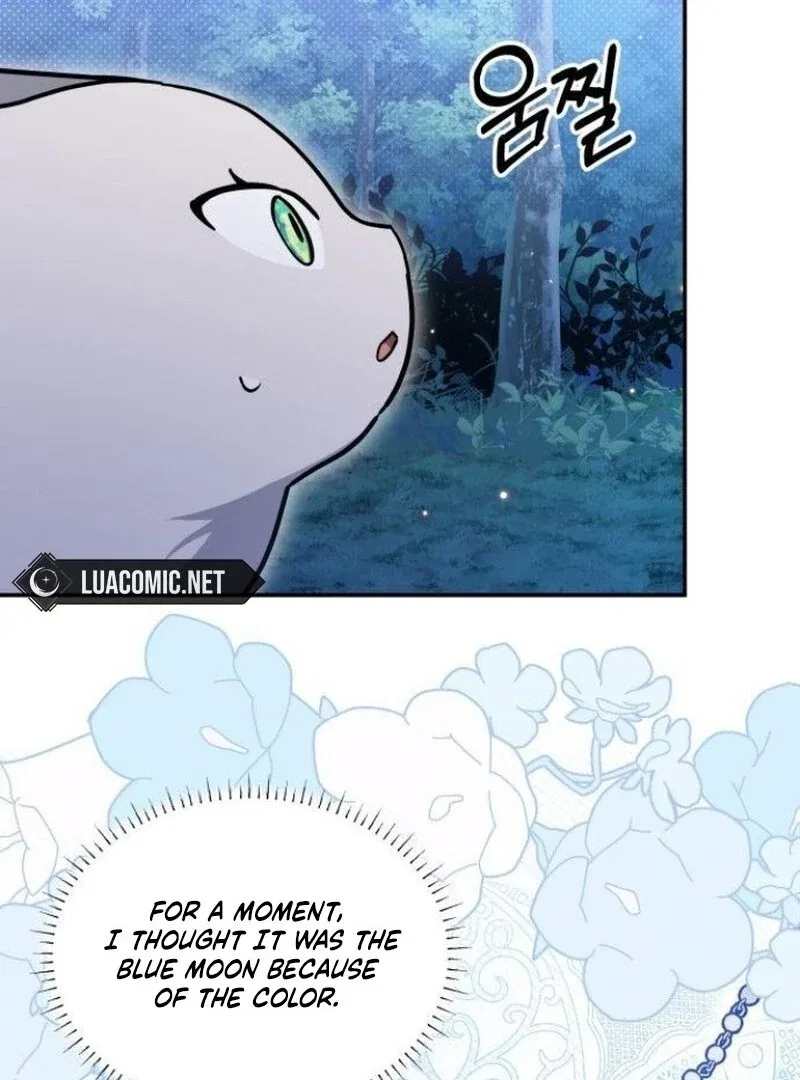 You’re a Cat, But You’ve Been Adopted by a Wolf Family? Chapter 72 – Page 69
