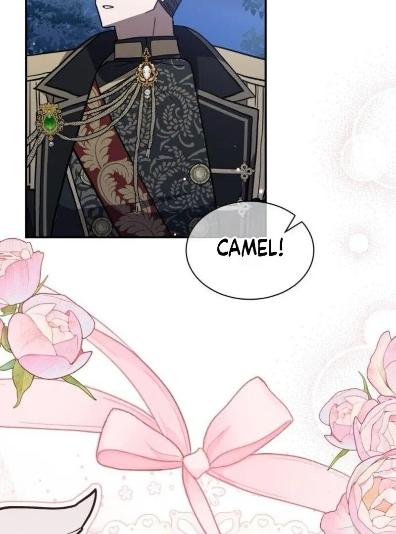 You’re a Cat, But You’ve Been Adopted by a Wolf Family? Chapter 71 – Page 82